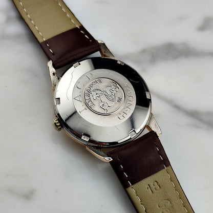 OMEGA Seamaster Automatic Gold Super Rare Line/Tapestry Dial 1960 [REF. 14704]