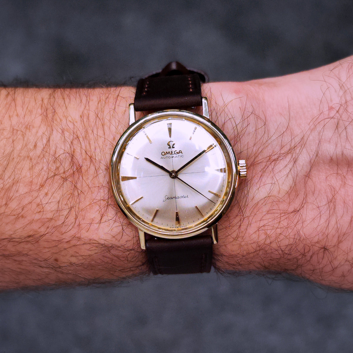 Omega Seamaster Automatic Gold White Dial 1961 Serviced 10/2026 – Uhr am Handgelenk, Vorderansicht