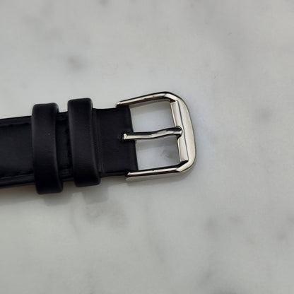 OMEGA Seamaster Automatic Rare Black Dial Date [REF. 166.067]